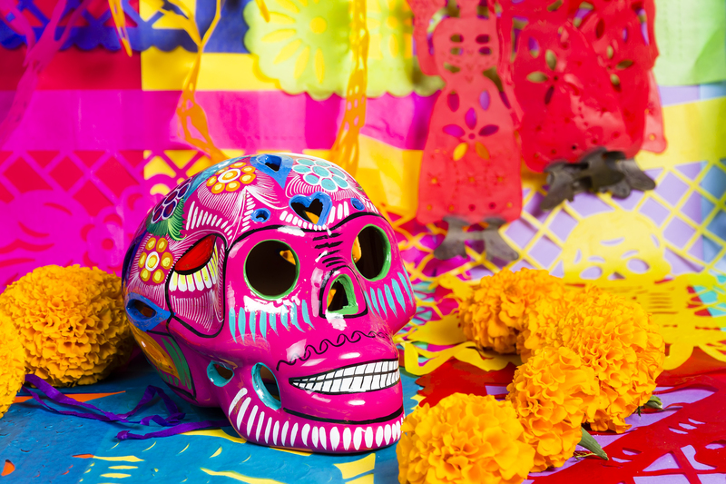 Flowers flowers  / diverse flowers