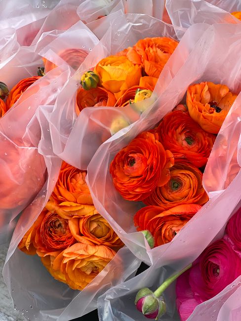 A close-up of a bouquet of fresh ranunculus flowers with vibrant orange, yellow, and pink blooms, wrapped in transparent plastic with subtle water droplets. The petals are densely packed, showcasing t