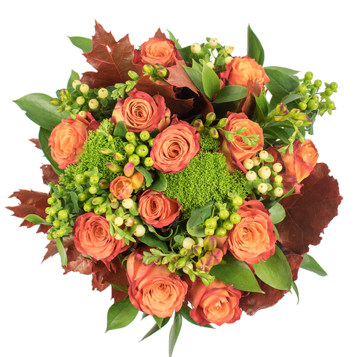 From an overhead perspective, this hand-tied autumn bouquet reads like a small, cultivated harvest arranged on white linen. Dozens of fully bloomed roses form the visual core - their petals graduating from a warm, peachy heart through coral to outer edges touched with a reddish-rust, creating a soft ombré that mimics turning leaves. Interwoven among the roses are clusters of Hypericum berries, some a bright, almost neon green and others a gentle creamy-yellow, their smooth, rounded shapes catching tiny highlights. Sprigs of Green Trick dianthus, dense and moss-like, nestle close to the roses, contributing a plush, verdant texture that softens the composition and suggests an earthy, woodland underlayer. The greenery palette is layered: fresh mid-green foliage provides structure and fullness, while larger, deeply lobed leaves in shades of burgundy and burnt orange are scattered throughout to ground the colour story and reinforce the seasonality. The tactile contrasts are clear - silky rose petals, glossy berry skins, and the slightly coarse, cushiony dianthus - and the lighting is soft and even, allowing subtle shadows to model each bloom. The arrangement evokes a comforting scent profile of warm roses shaded by green, with an almost leafy, autumnal undertone. Designed to sit as a Thanksgiving centrepiece, a welcoming entryway accent, or a heartfelt seasonal gift, this bouquet feels crafted for homes across the Tomorrow's People neighbourhood and nearby streets, offering a refined balance of abundance, texture, and fall-coloured charm.